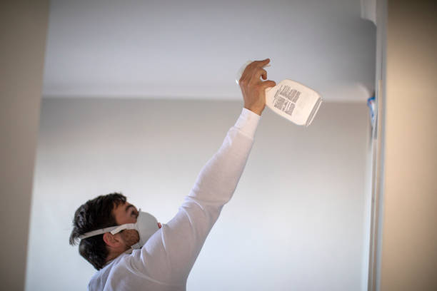 Best Post-Remediation Services in Curtisville, PA