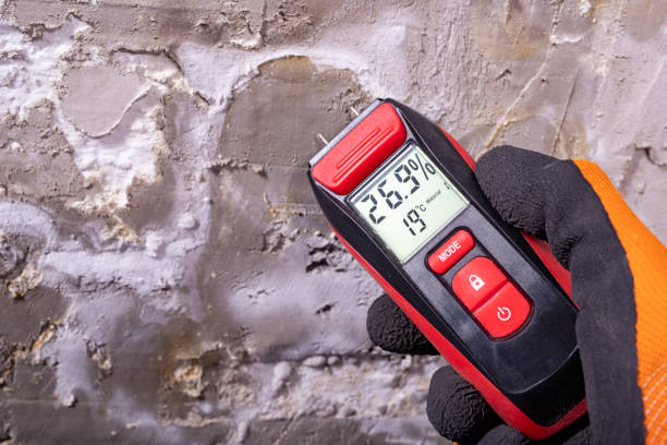Best Mold Testing and Inspection Services in Curtisville, PA